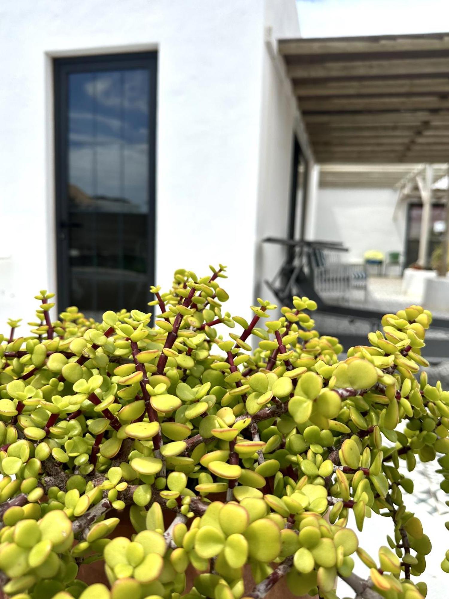 Casita Tiare Lajares Appartement Buitenkant foto