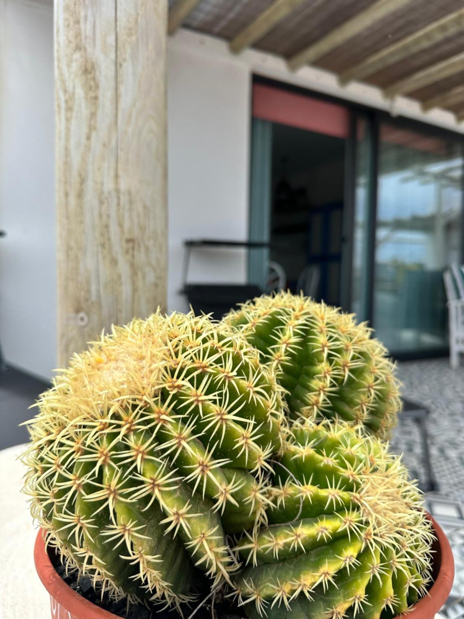 Casita Tiare Lajares Appartement Buitenkant foto